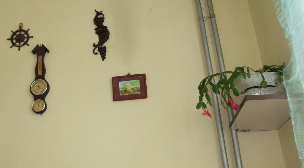 Kamigs Rooms Sofia Rum bild